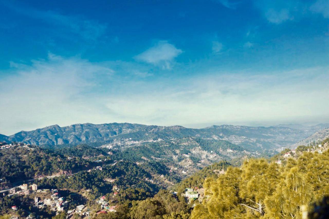 Nature View Resort !! A Four Star Lavish & Luxury Resort Chail Exterior photo