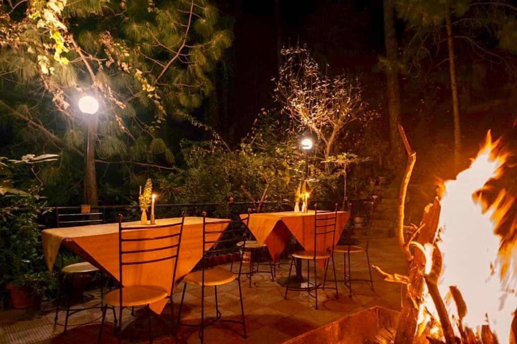 Nature View Resort !! A Four Star Lavish & Luxury Resort Chail Exterior photo